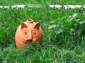 pignatte cotte copertina bis